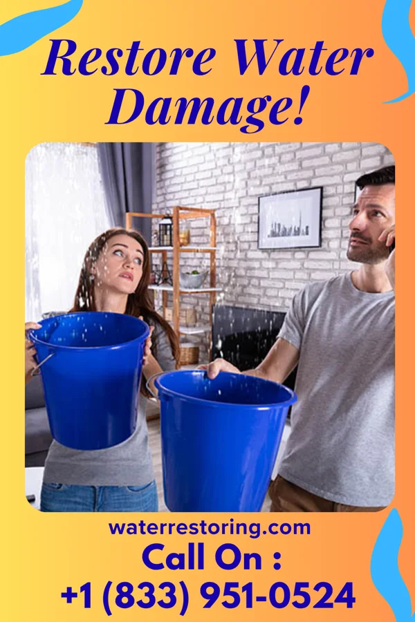 water restoration Vanguard Sewage Cleanup Brothers Briggs